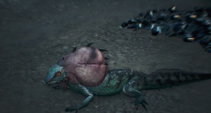 怪物猎人荒野环境生物有哪些 怪物猎人荒野环境生物一览