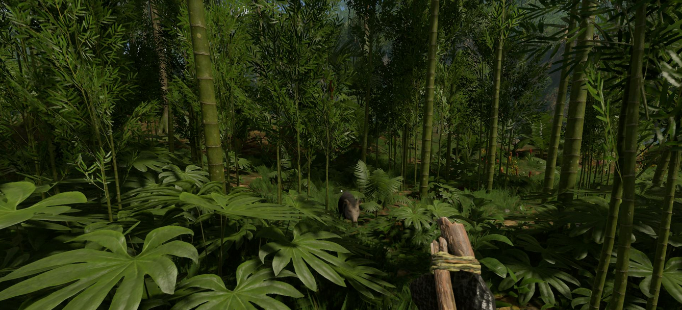 绿色地狱卡顿怎么解决 绿色地狱解决卡顿的方法介绍