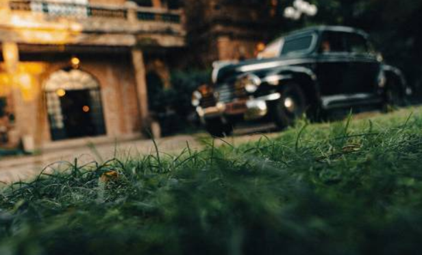 新世界暗影成双发售价格 新世界暗影成双发售平台介绍