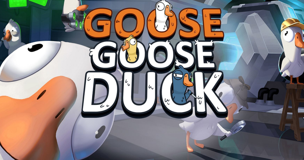 鹅鸭杀加速器真能降低延迟吗 鹅鸭杀掉帧频繁怎么办