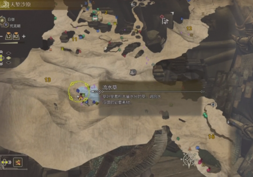 怪物猎人荒野足迹蜥蜴在哪里 怪物猎人荒野足迹蜥蜴位置介绍