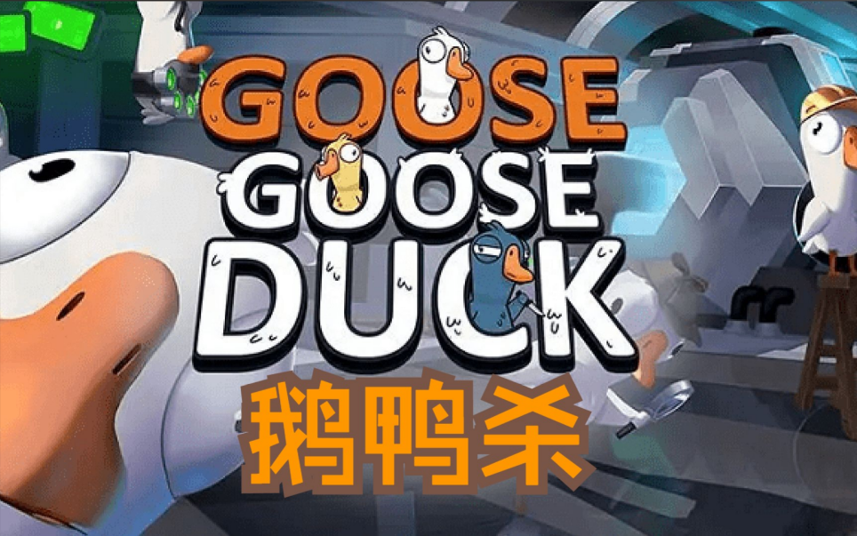 鹅鸭杀为什么进不去游戏 鹅鸭杀用什么加速器效果好