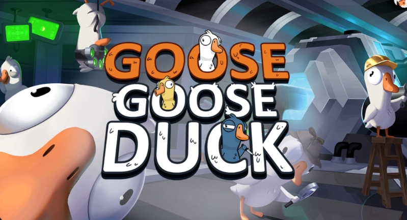 鹅鸭杀加速器哪个好 鹅鸭杀游戏加速器分享