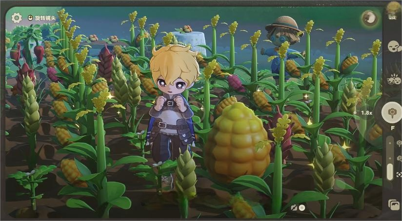 星布谷地变异果实获取方法与全收集攻略