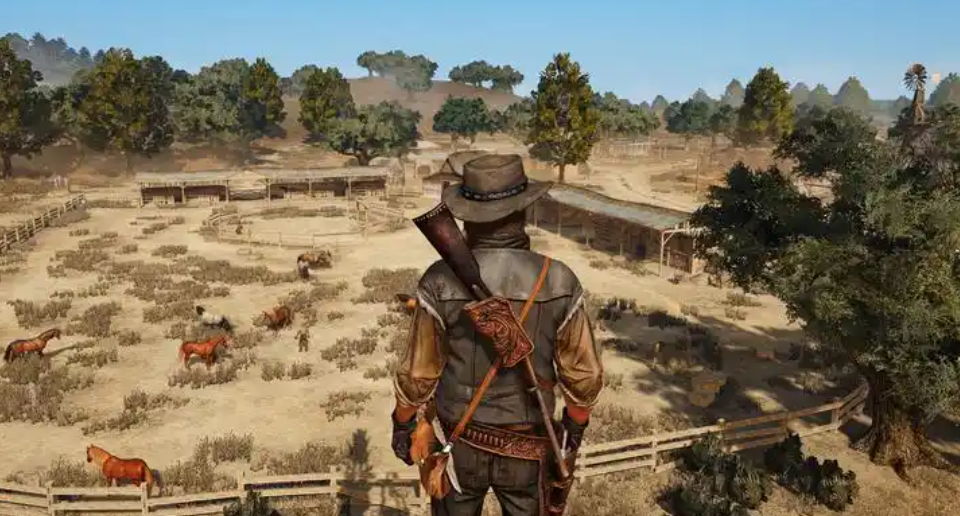 荒野大镖客:救赎手游服务器地区及开发商信息