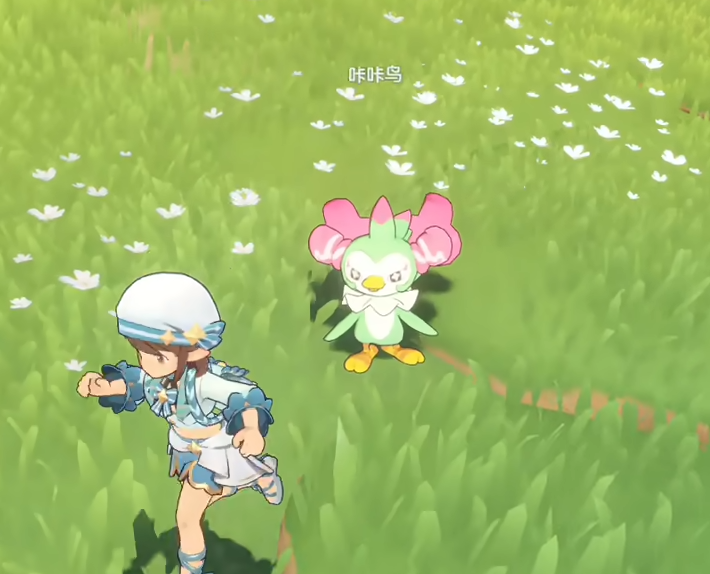 洛克王国世界咔咔鸟在哪里？咔咔鸟获取位置与图鉴介绍