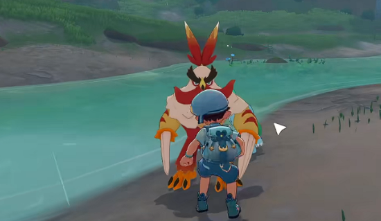 洛克王国武者鸡进化方法详解：如何从初始形态成功进阶