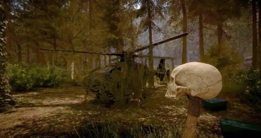 森林之子配置要求是什么 森林之子配置要求一览