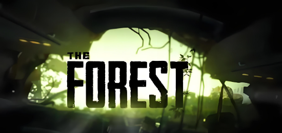 森林之子联机闪退问题全面解决方案