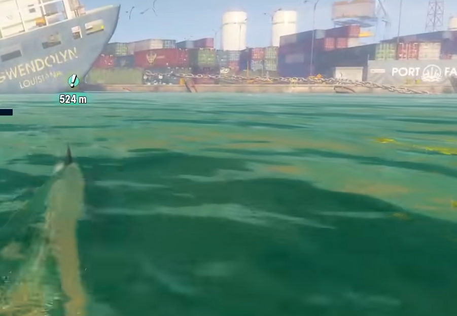 食人鲨闪退怎么办 食人鲨闪退如何解决