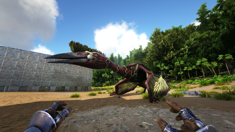 方舟生存进化手游风神翼龙空中捕获方法与详细教程