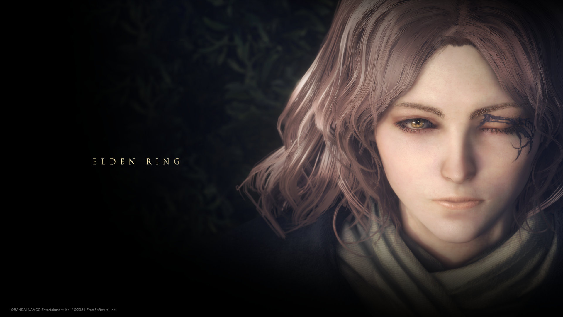 艾尔登法环掉帧如何解决 艾尔登法环掉帧解决方案