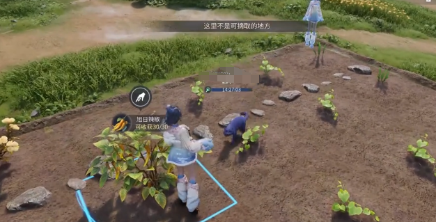 王者荣耀世界家园玩法详解：新手入门与实用技巧分享