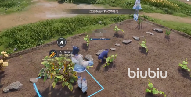 王者荣耀世界家园玩法详解:新手入门与实用技巧分享